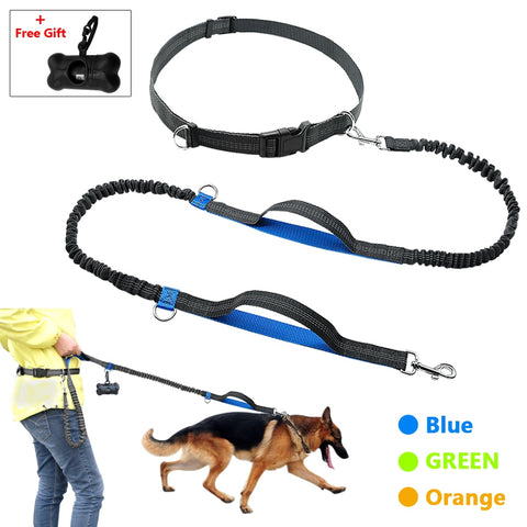 Hands Free Dog Leash Retractable Bungee Leash Lead