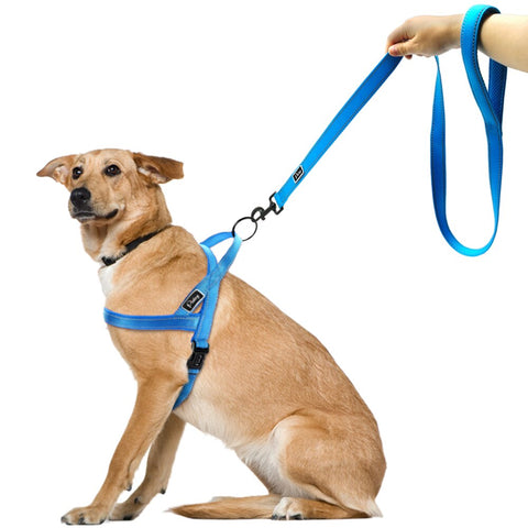 Reflective Nylon Dog Harness Leash Set Pitpull